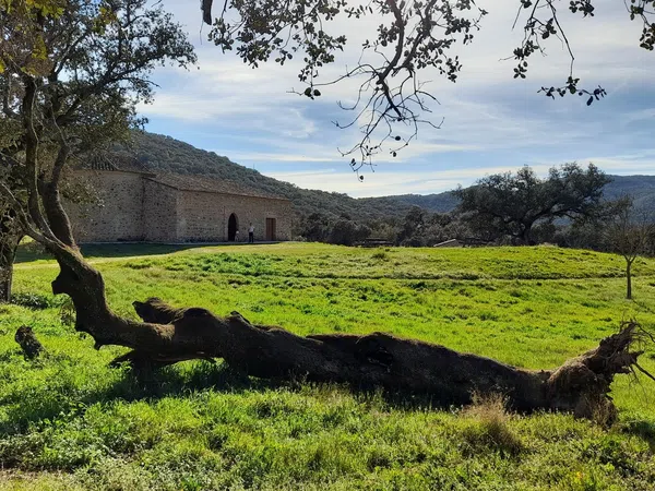 Casa de pueblo en Paseo de los Rosales, 30 - Foto 30