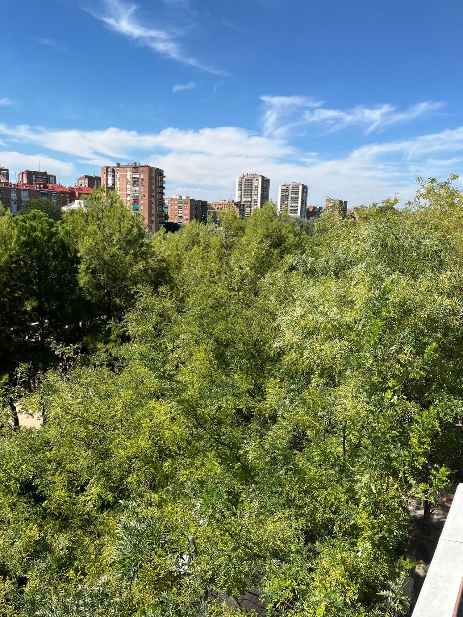 Piso en Imperial, Imperial - Foto 14