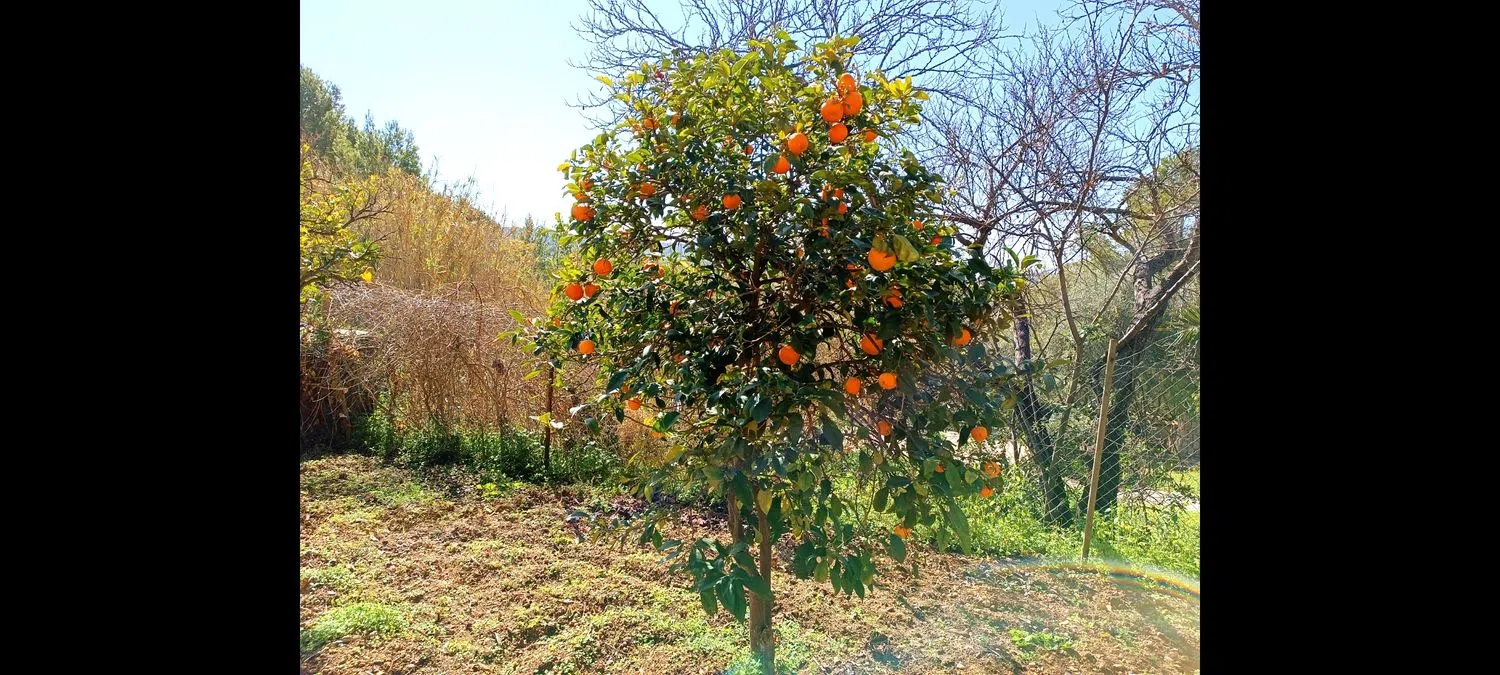 Casa rural en camino de ca na Maiola, 3 - Foto 34