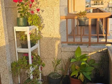Apartamento en  PO-550 34 - Foto 3