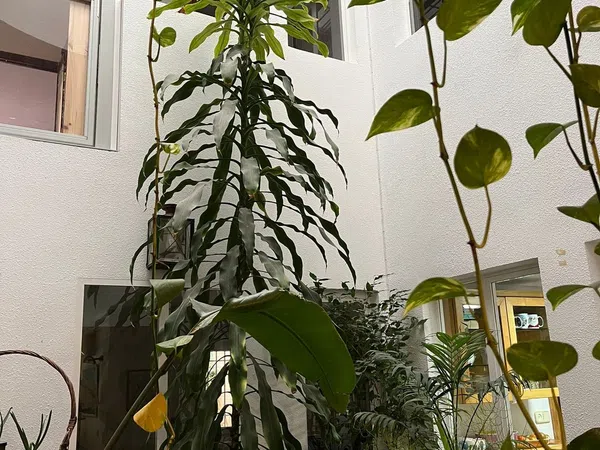 Chalet adosado en calle de la Peña Pintada, 47 a - Foto 2