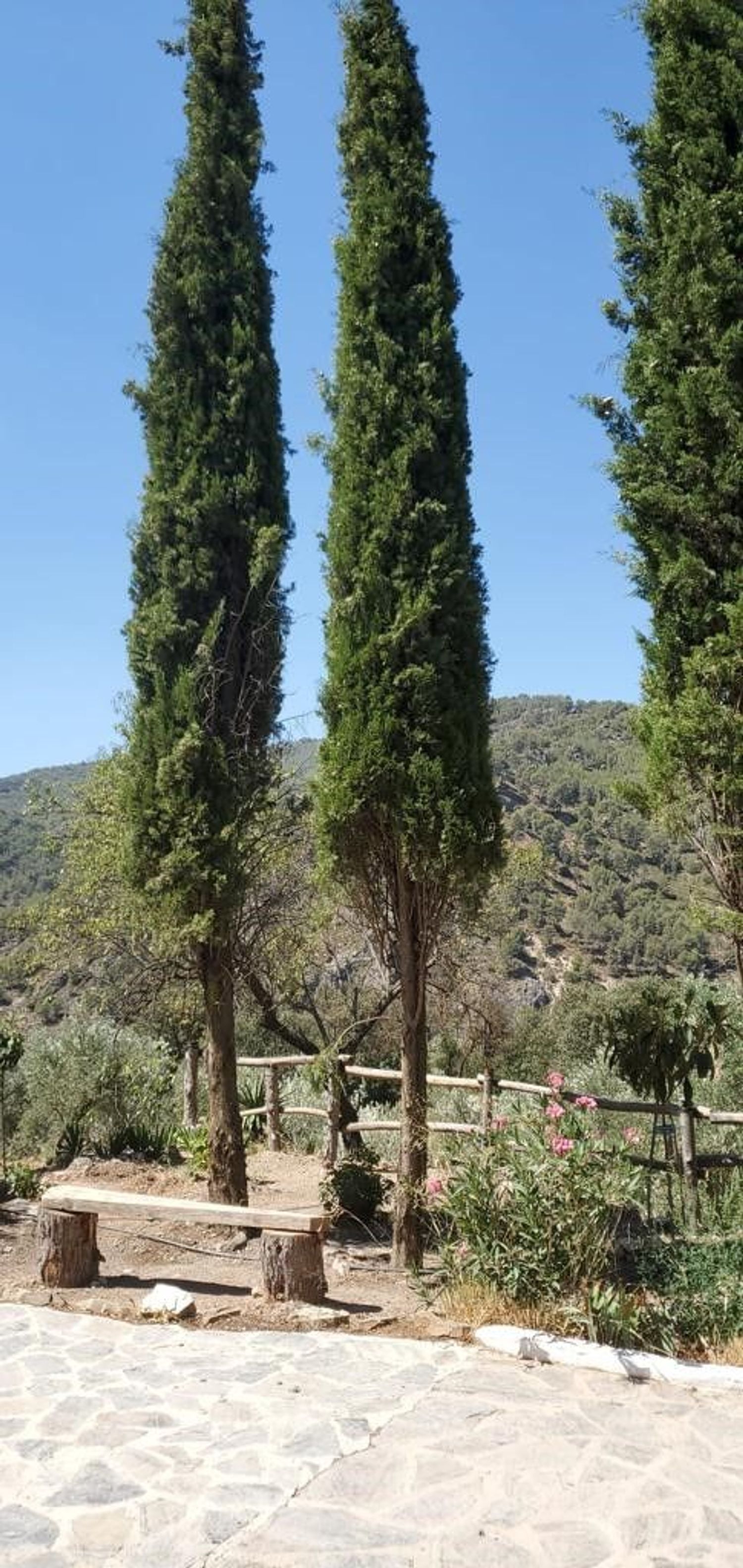 Casa rural en Carretera de Granada, 1 - Foto 11