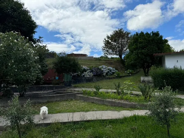 Casa de pueblo en Sabaxáns s/n - Foto 10