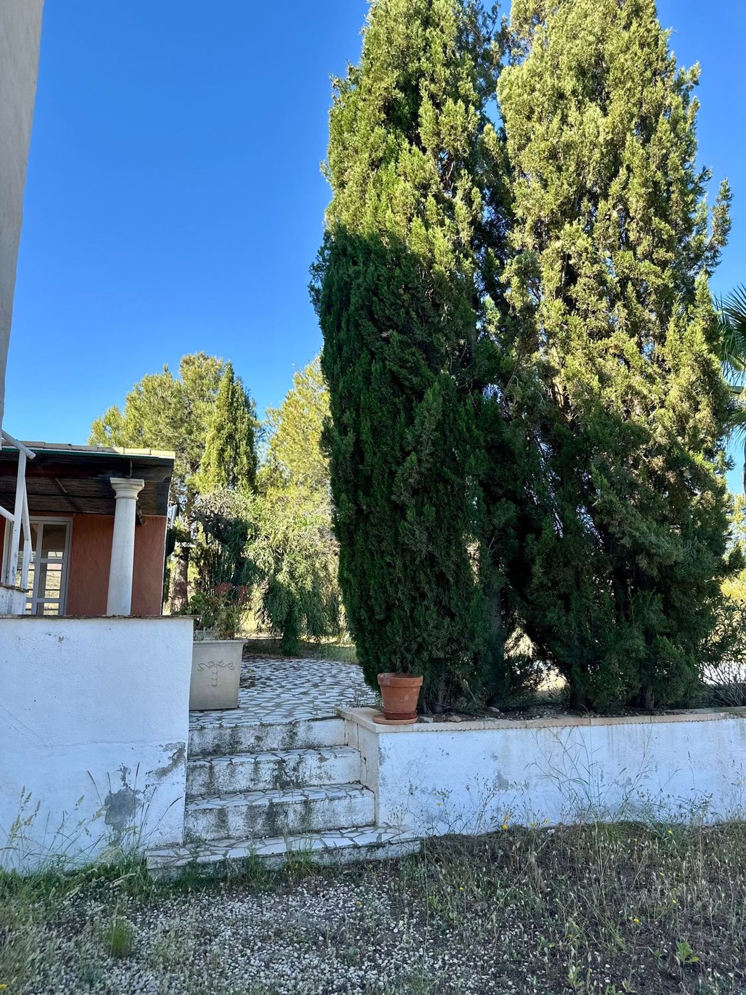 Finca rústica en Zarcilla de Ramos-Doña Inés - Foto 9