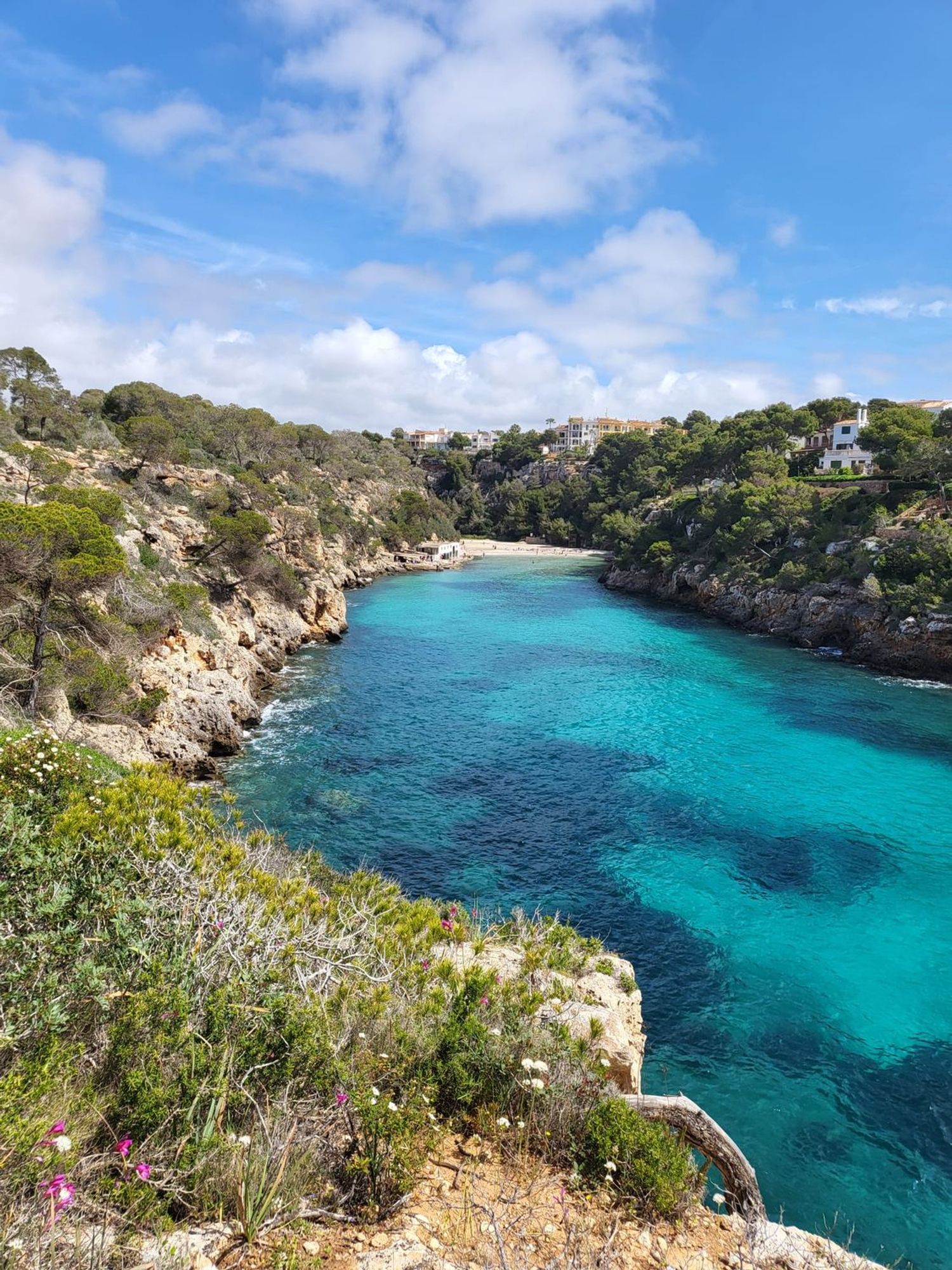 Piso en Calle de Murillo, 8, Cala Pi-Vallgornera, Cala Pi-Vallgornera - Foto 15
