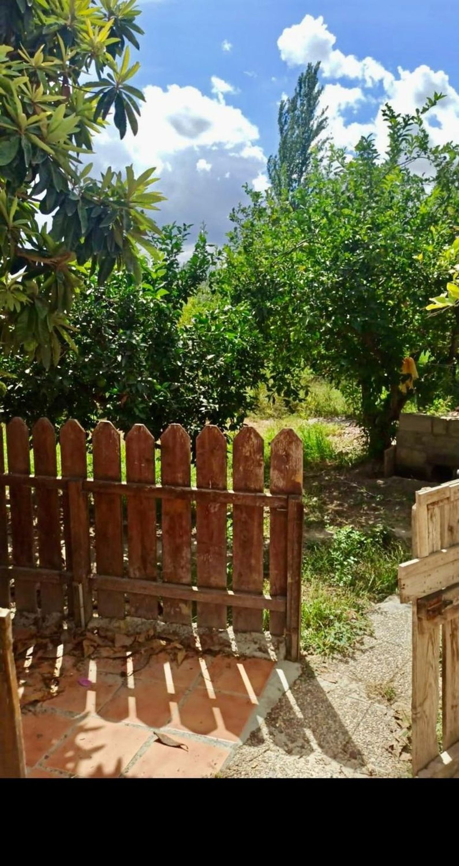 Casa independiente en carril Campillos, 1 - Foto 9