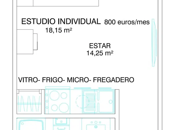 Estudio en abetos, 34 - Foto 2