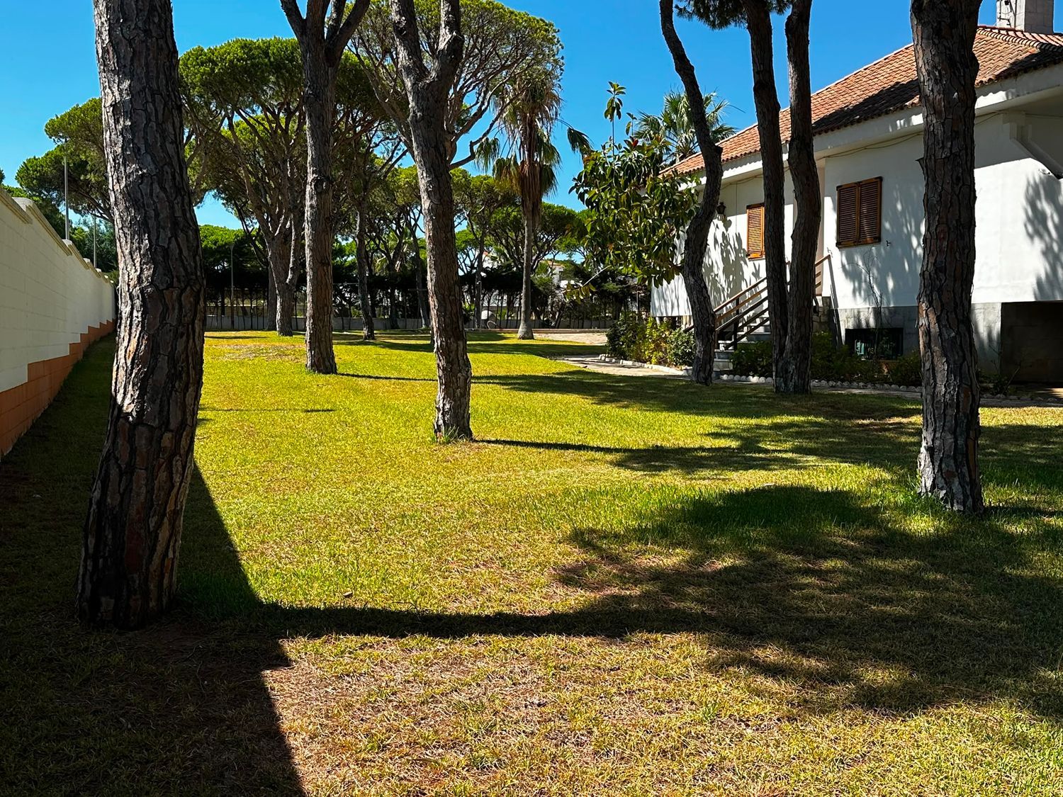 Casa o chalet independiente en Avenida de la Barrosa, 64, La Barrosa, La Barrosa - Foto 17