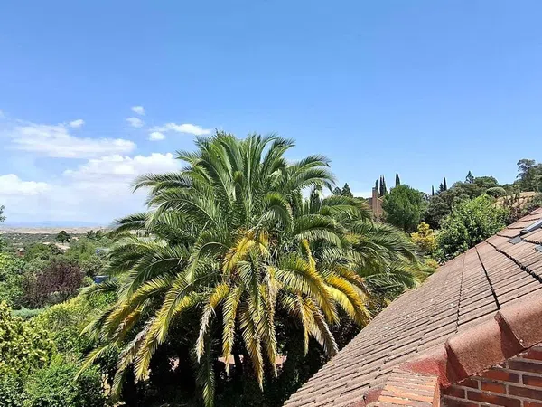 Casa o chalet independiente en Ciudalcampo - Foto 25