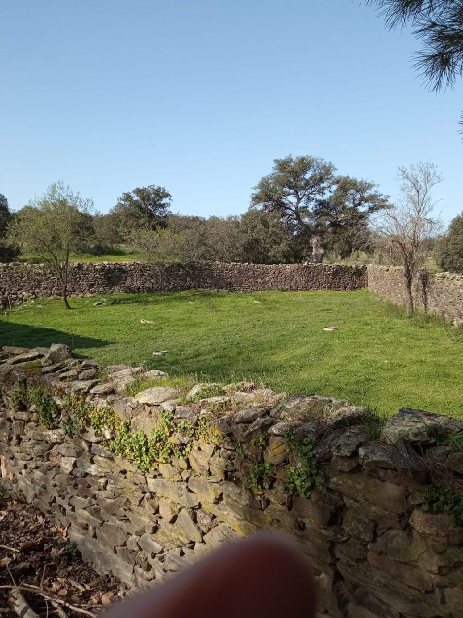 Finca rústica en Camino de la Huerta Bastida s/n - Foto 7