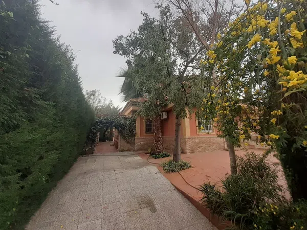 Casa o chalet independiente en Tablero - Foto 4