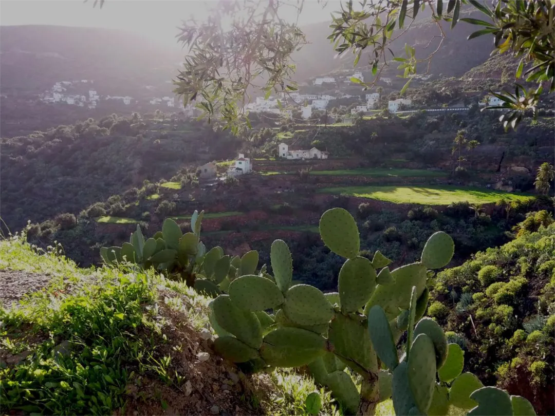 Finca rústica en calle Calle Espíritu Santo 15 - Foto 31