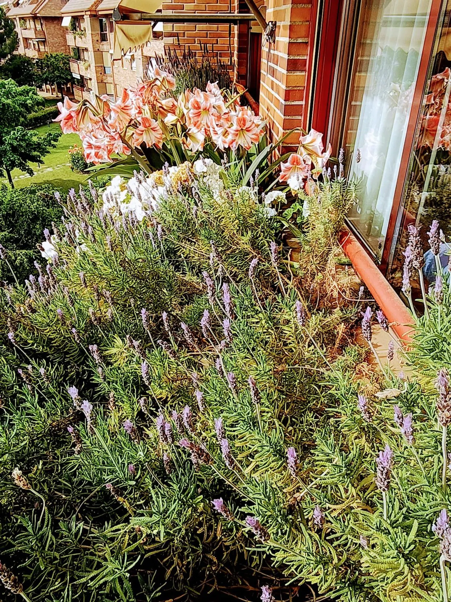 Piso en avenida España, 3 - Foto 3