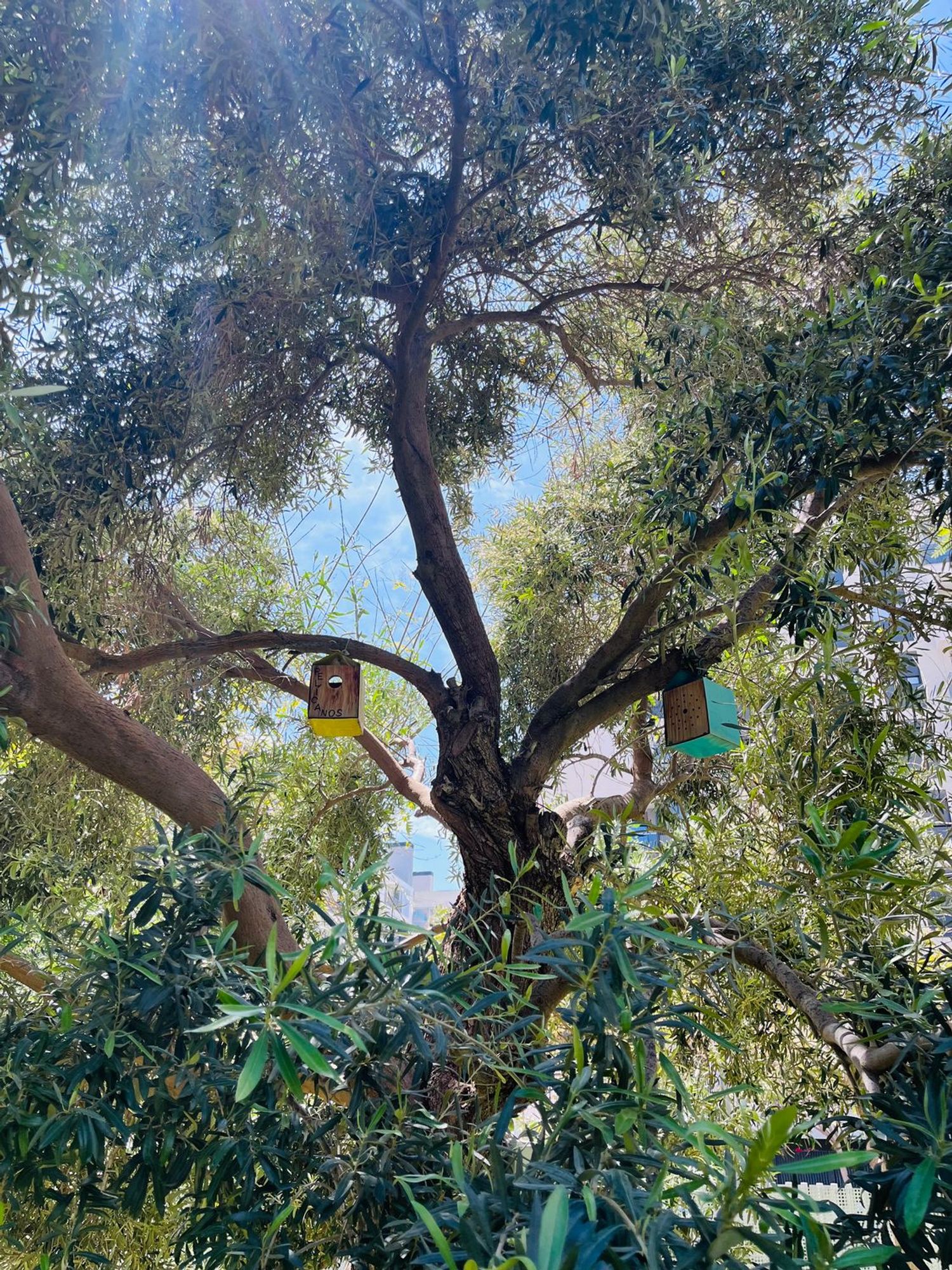 Piso en calle Médico Andrés Boldó, 1 - Foto 24