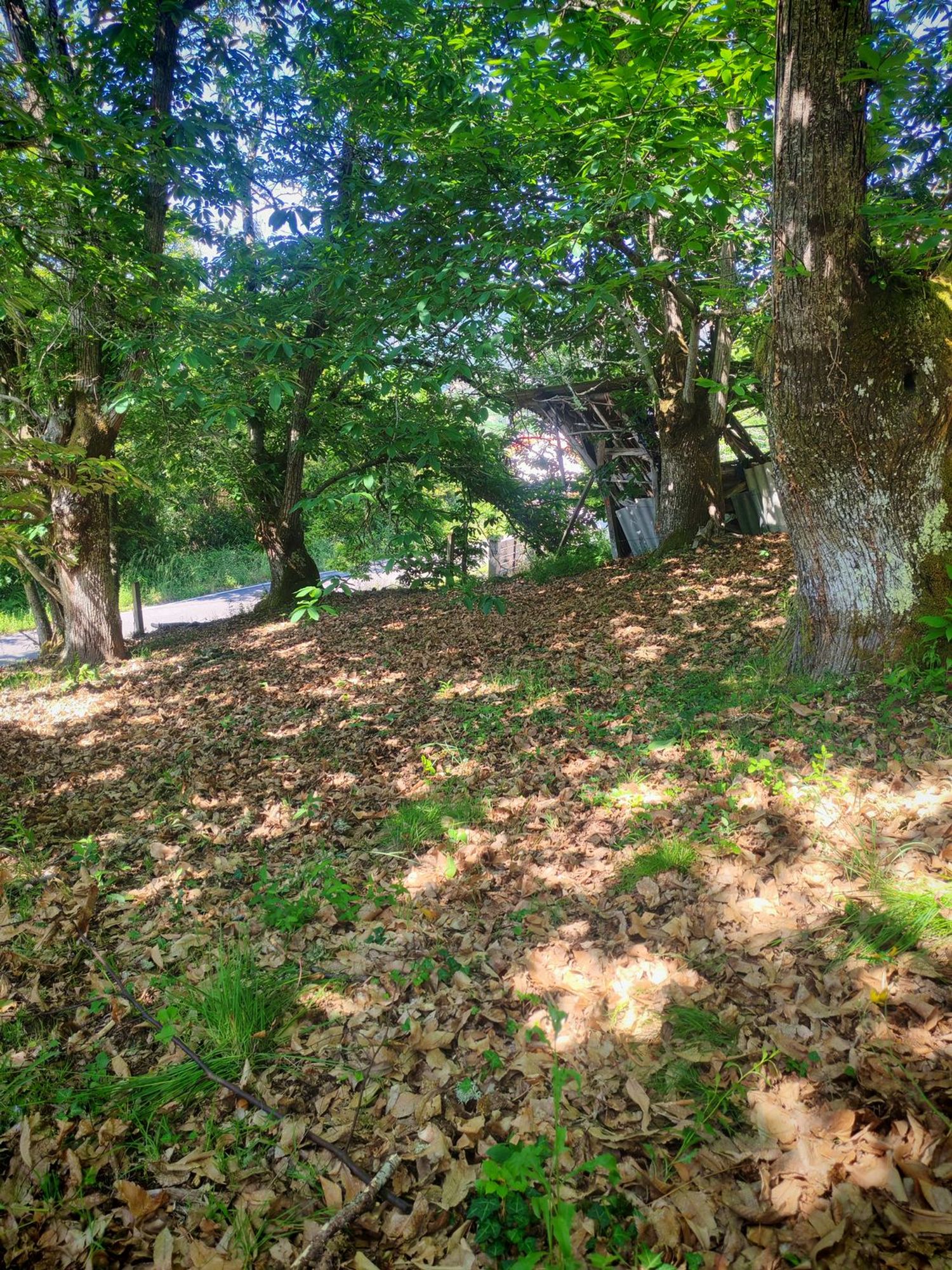 Casa de pueblo en Sacardebois, 605 Ou - Foto 14
