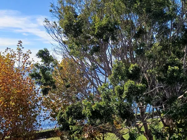 Dúplex en calle del abordaje, 2 - Foto 13