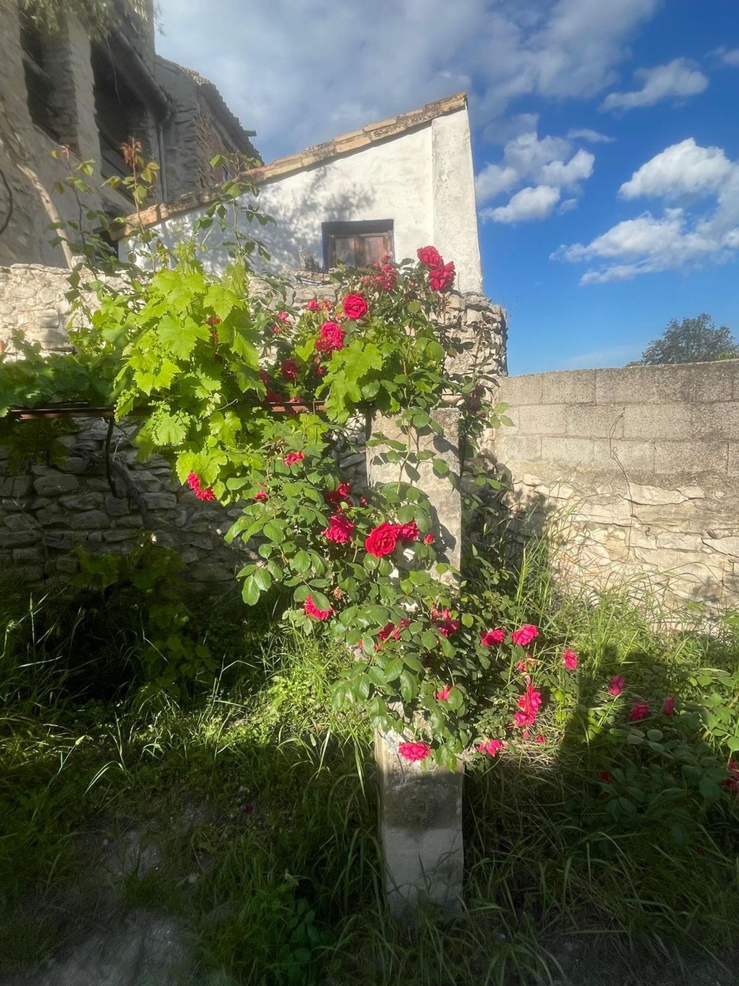 Casa de pueblo en Calle Puríssima, 11 - Foto 22