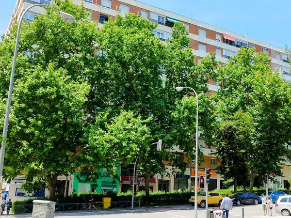 Piso en Barrio Peñagrande - Foto 3