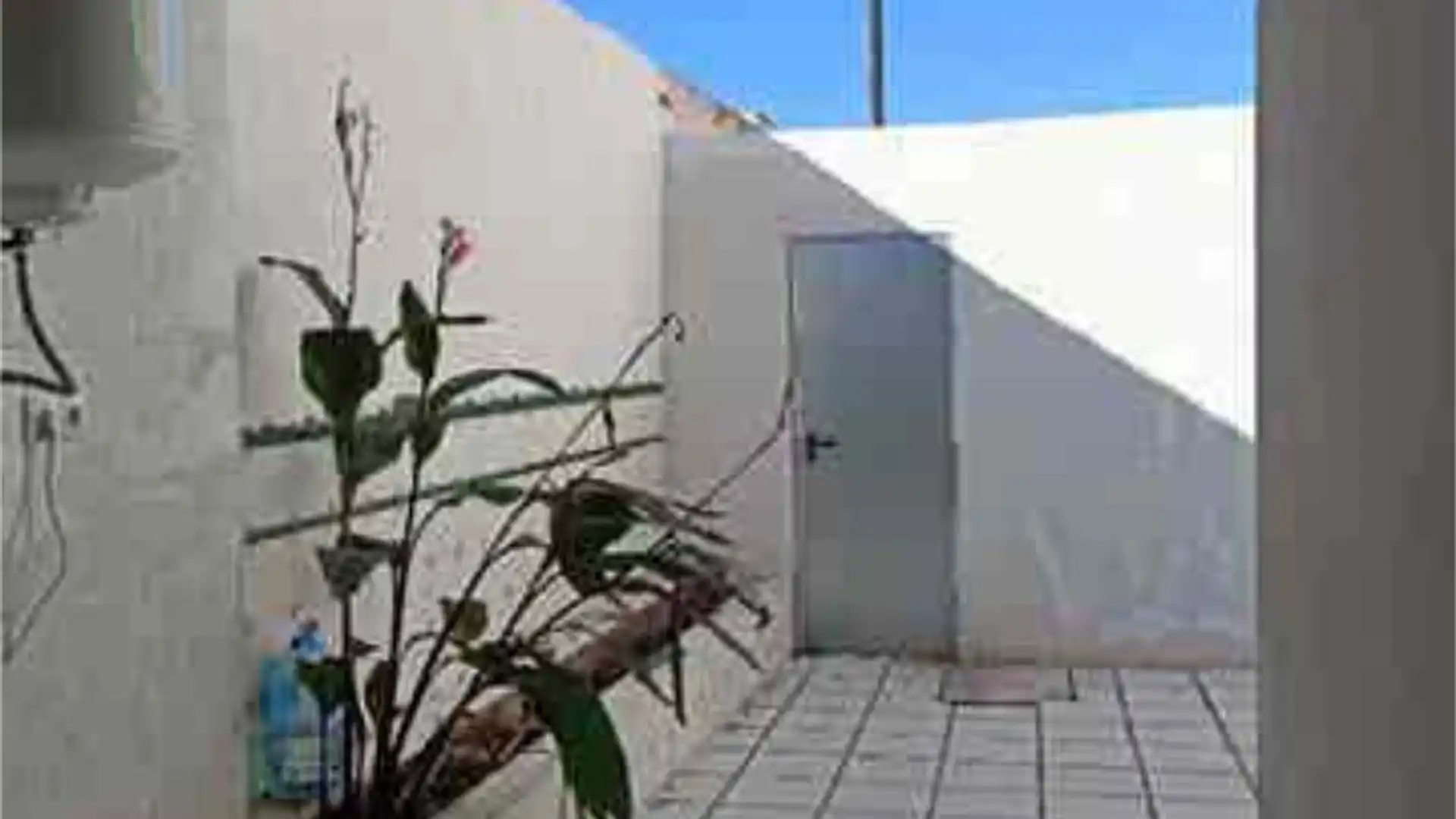 Chalet en la ñora - Foto 8