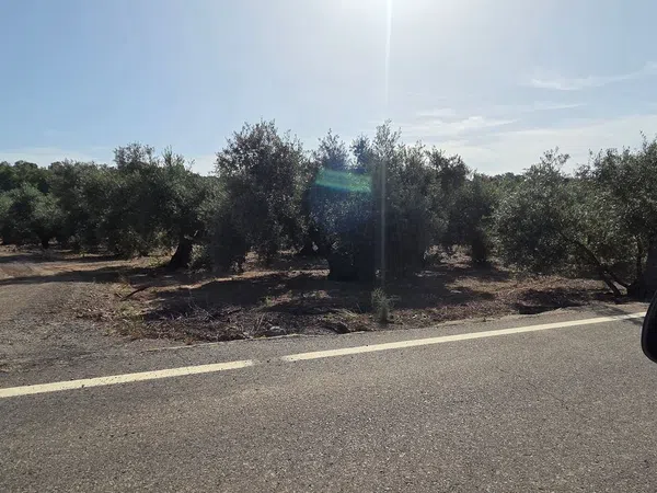Cortijo en Cortijo en A-3001, 5 - Foto 12