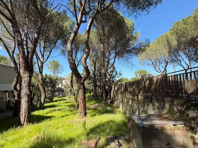 Chalet en Las Rozas de Madrid - Foto 6