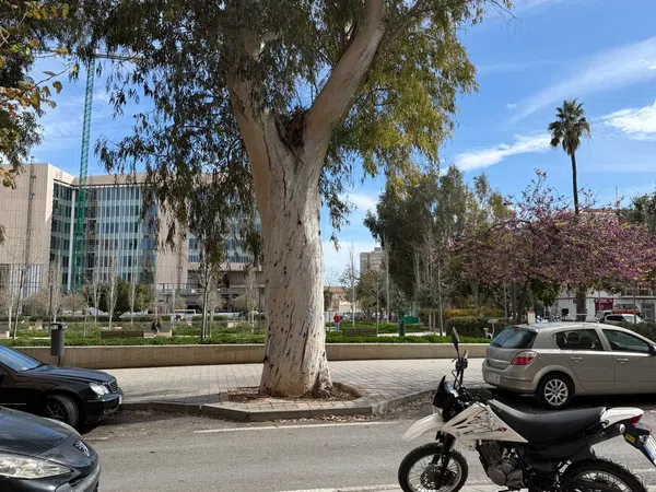 Piso en calle Deportista Ángel Aznar, 5 - Foto 25