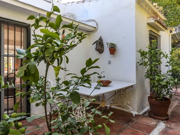 Casa o chalet independiente en Calle de la Palmera, 6, Las Lomas - Foto 38