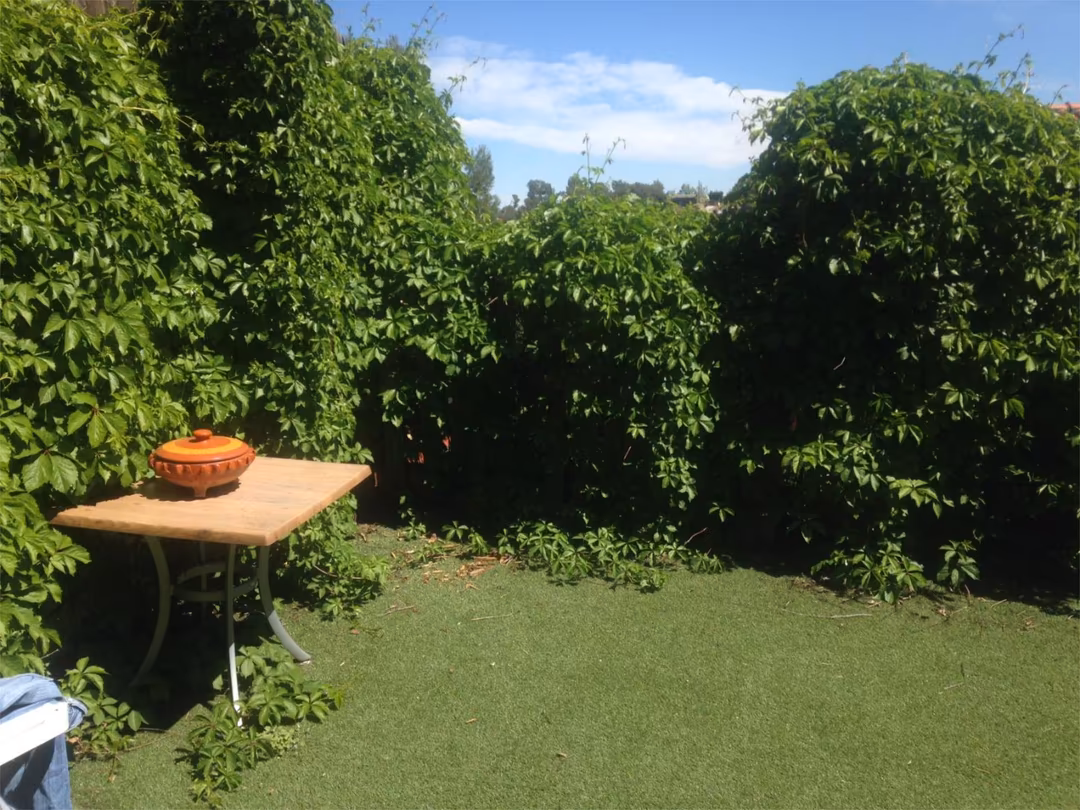 Chalet en  Passatge de la Salut 15 - Foto 15