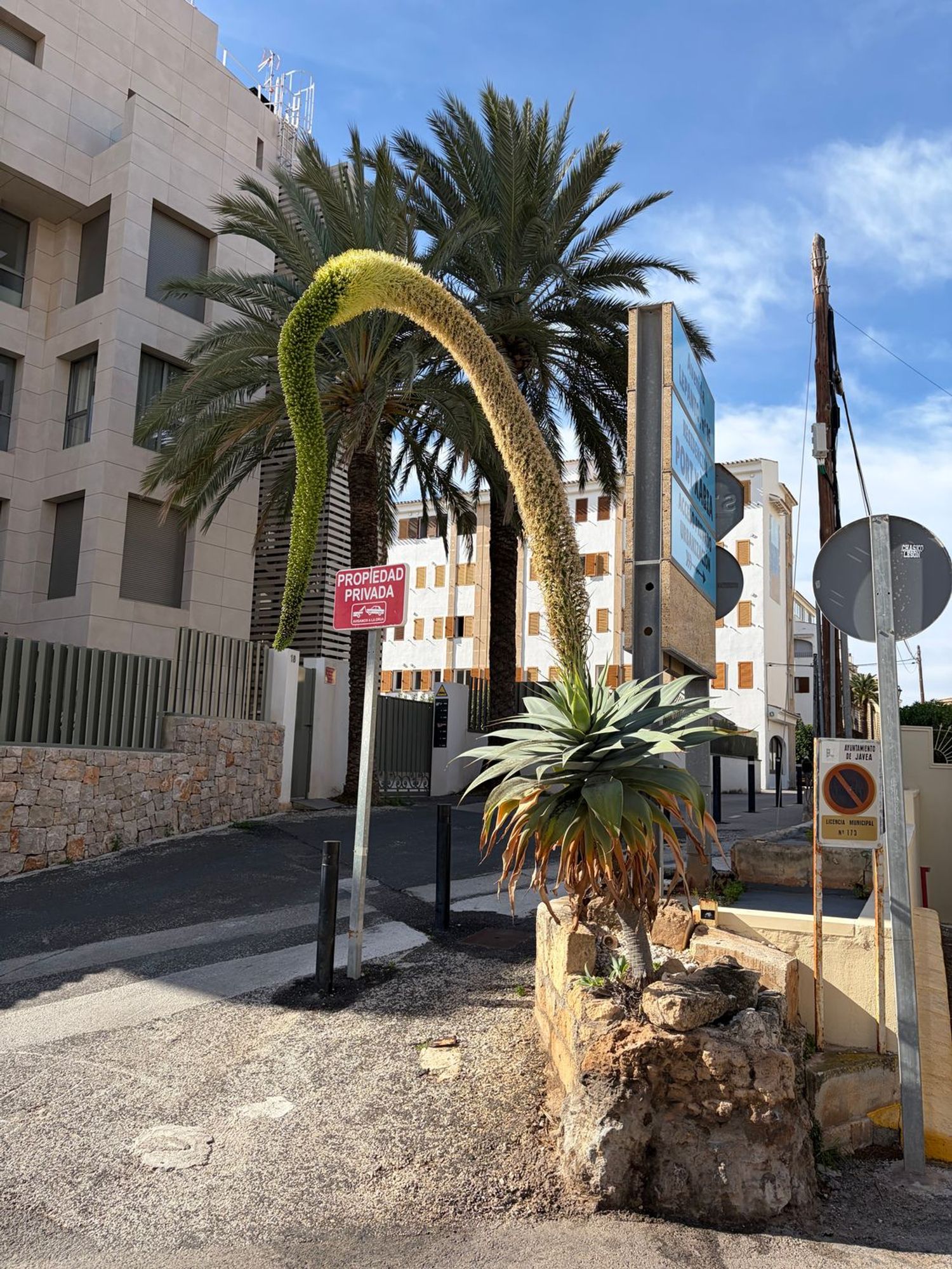 Estudio en Avenida de Lepanto, 16, Puerto, Puerto - Foto 15