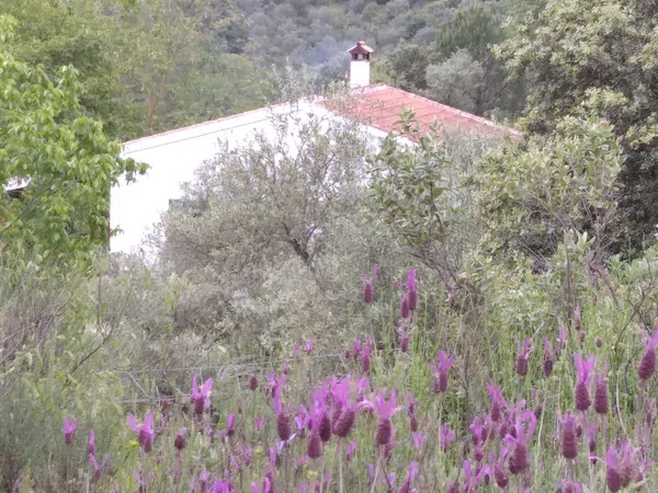 Finca rústica en Carretera de la estación, 3 km - Foto 3