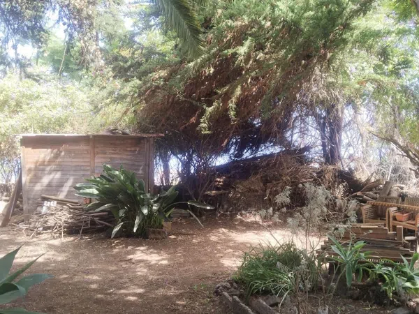 Finca rústica en Carretera Enlace el Ramal, 18 L, Centro, Centro - Foto 7