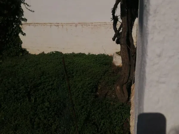 Casa rural en Barriada Don Ramón, 19, Diseminados - Foto 16