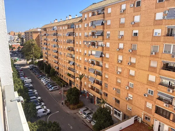 Piso en Calle Urbión, 18, El Juncal - El Plantinar - Foto 12