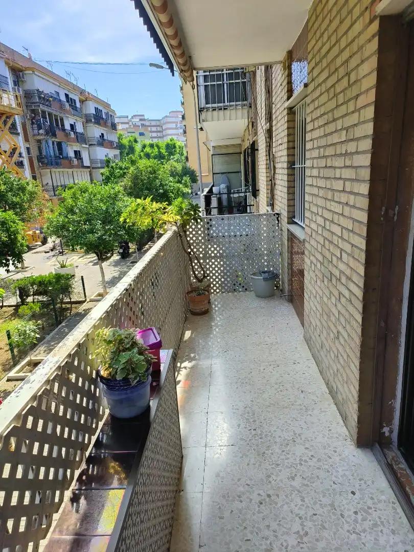 Piso en  Calle Doctor Antonio Herrera Carmona 1 - Foto 7