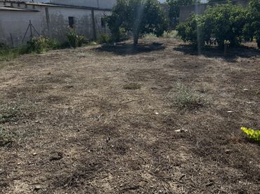Finca rústica en  Placeta de Molina 2 - Foto 5