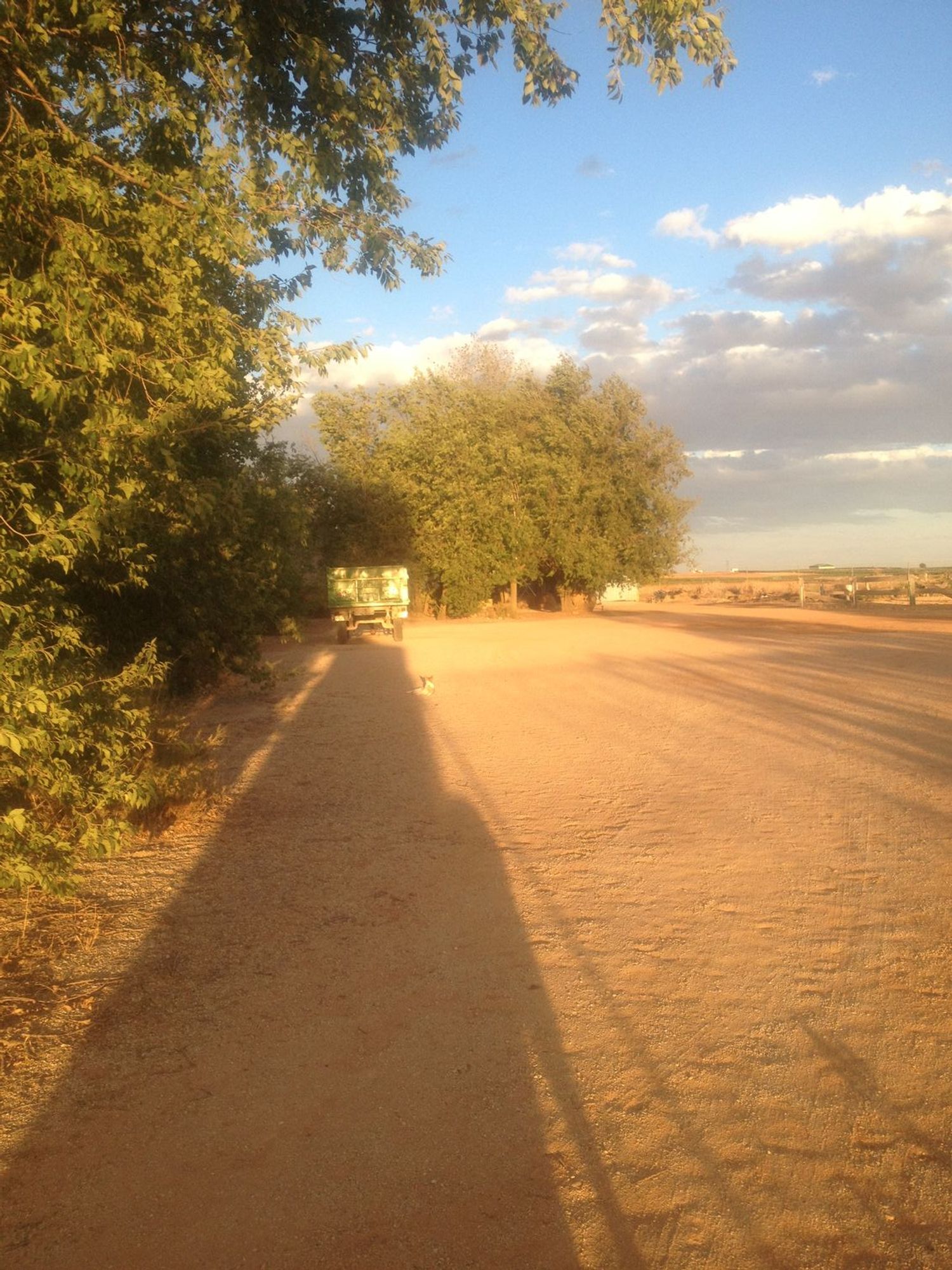 Finca rústica en Carretera de Ossa de Montiel s/n - Foto 2