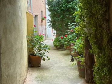Piso en  Calle del Capitán Rojas 18 - Foto 1