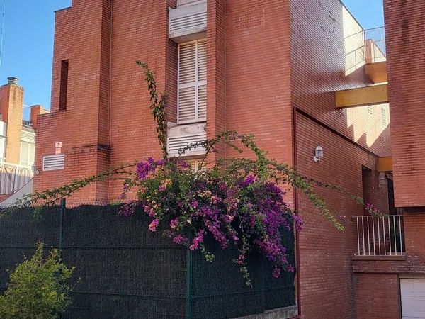 Chalet adosado en calle Cielo, 3