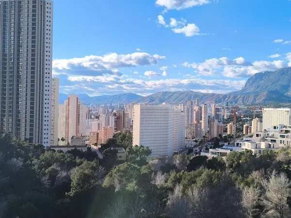 Estudio en avenida de Montecarlo, 26 - Foto 2