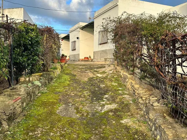 Finca rústica en Calle la Torre de La Muela, 4 - Foto 1