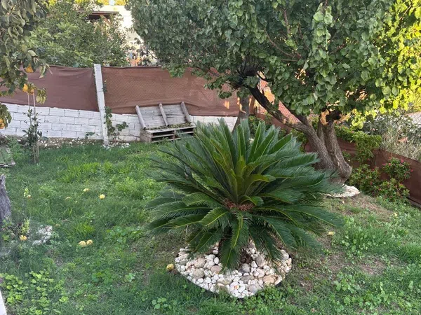 Casa o chalet independiente en Calle d'Algèria, 11, Can Parellada - Foto 17