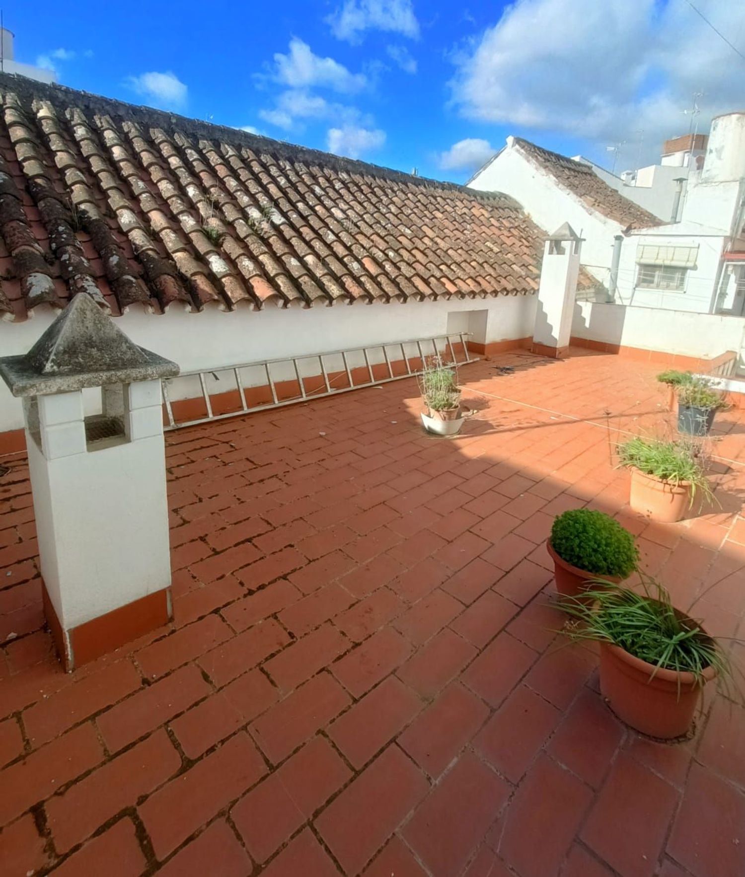 Casa o chalet independiente en Calle Ramón y Cajal, 24, Centro - Foto 16