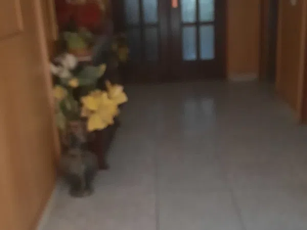 Piso en Coria - Foto 17