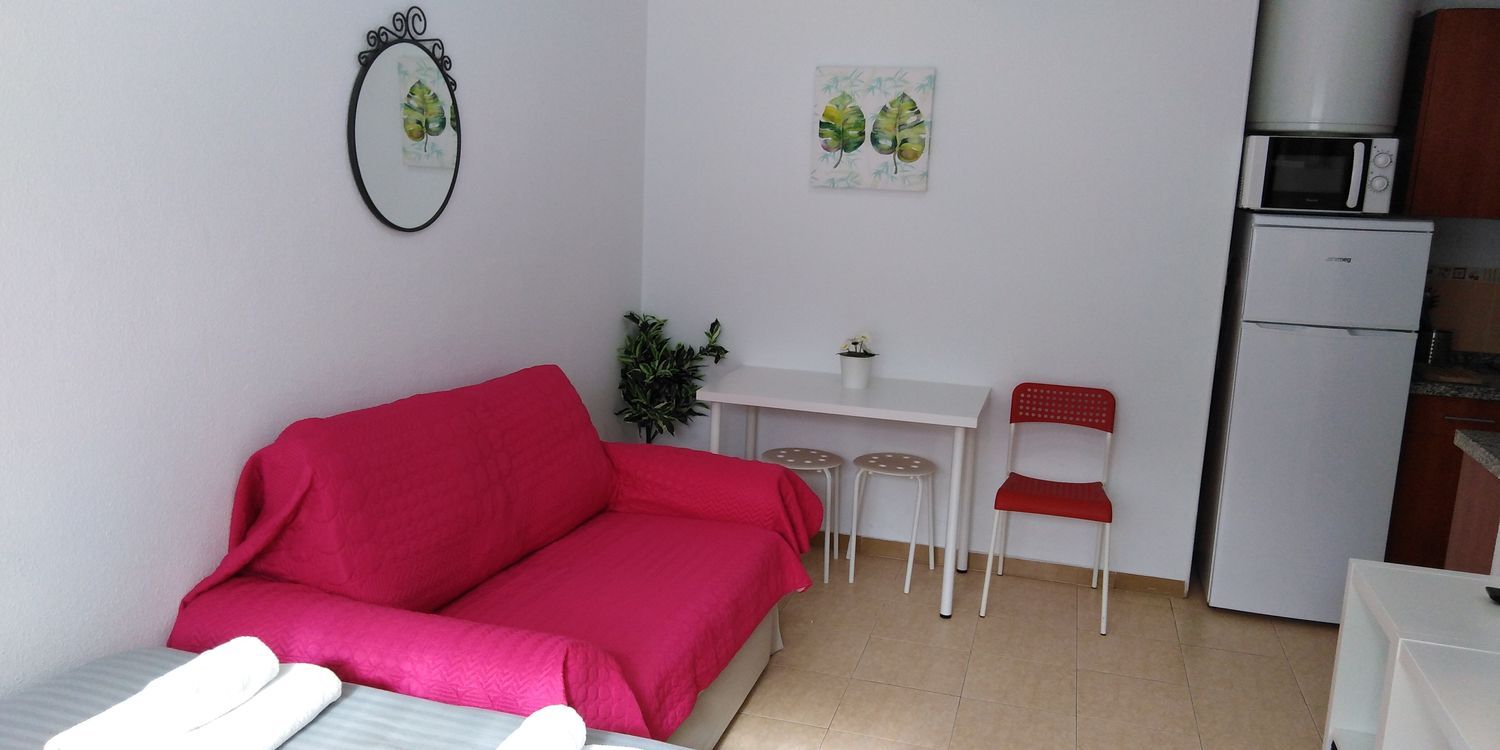 Estudio en Carrera de Capuchinos, 9, El Ejido - Foto 7