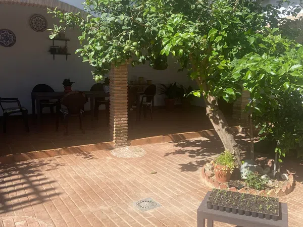 Casa o chalet independiente en Calle Cenit, 53 - Foto 29