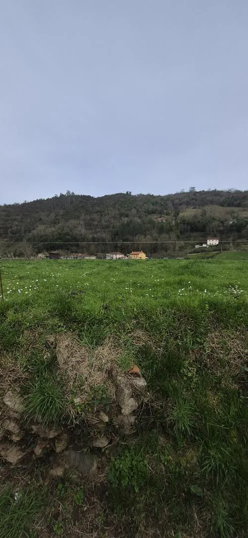 Finca rústica en  Lugar Godos 9 - Foto 10