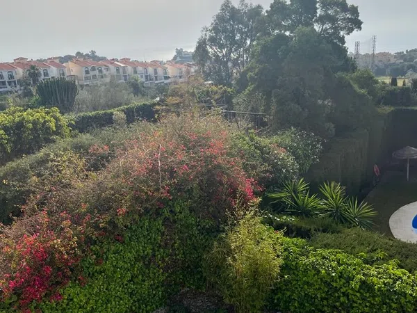 Chalet pareado en Urb. jardines del golf fase 3 Añoreta Golf - Paraíso del Sol - Foto 33