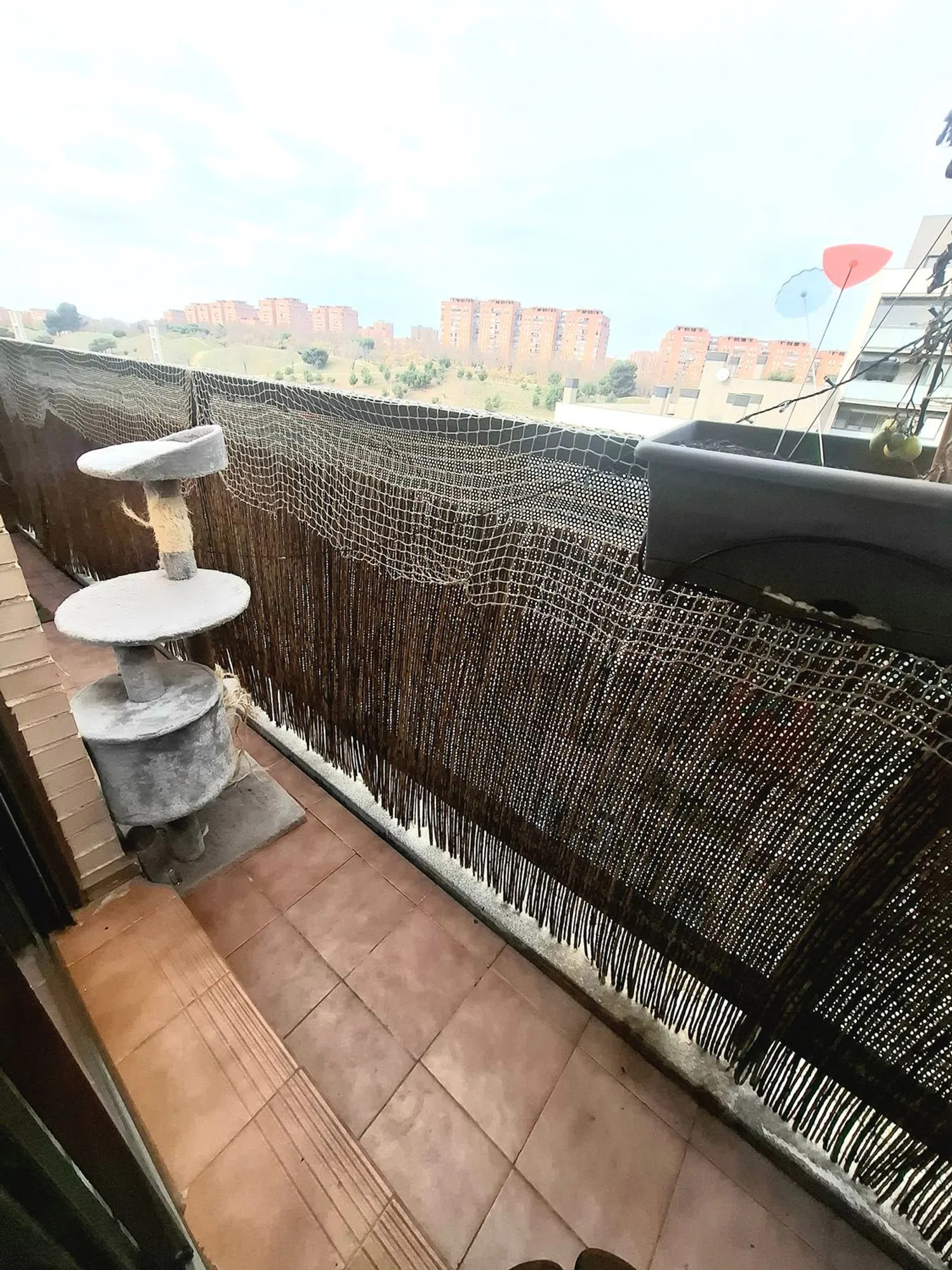 Piso en calle de la Maquinilla, 29 - Foto 28