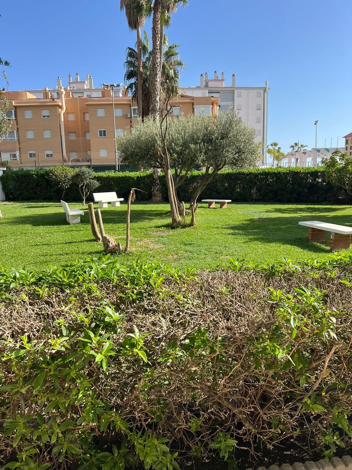 Estudio en avenida de Andalucia, 36 - Foto 26