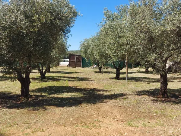 Casa rural en Calle los Nardos, 7 - Foto 4